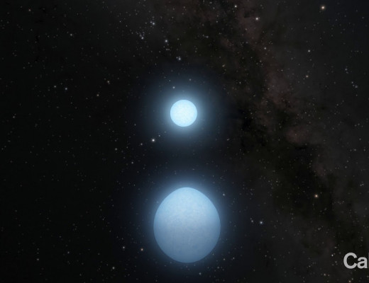 Хоёр хос жижиг цагаан одууд бие биеэ тойрон асар хурдтай эргэдэг